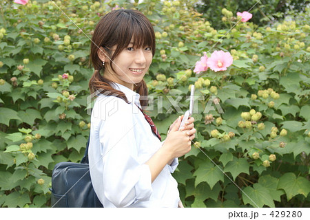 芙蓉の花と女子高生の写真素材