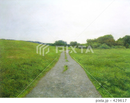 高原　草原　朝霧高原の一本道 429617