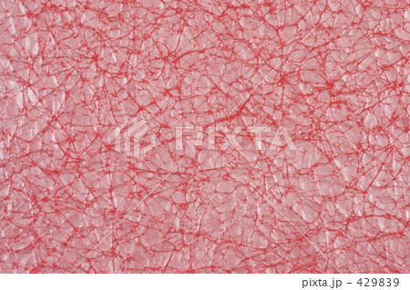 和紙イメージ 429839