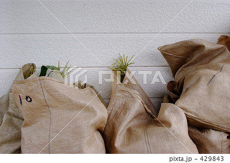 穀物入りの袋 429843