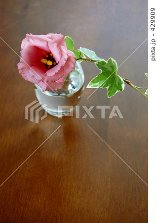 インテリアの花 429909