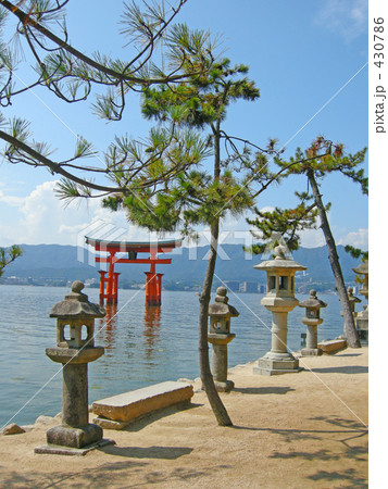 厳島神社 鳥居と石塔と松の木 厳島神社 鳥居と石塔と松の木 430786