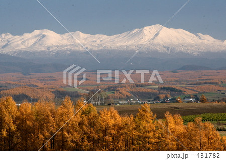 秋の大雪山 431782