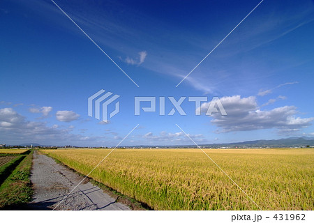 秋晴れの道 秋晴れの道 431962