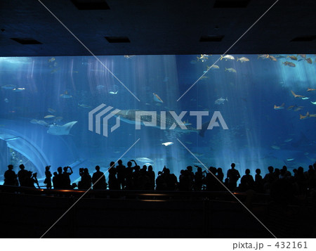 美ら海水族館 432161