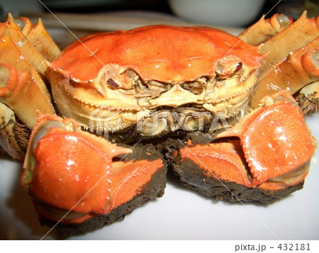 カニ 蟹 カニ 蟹 432181
