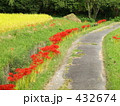 彼岸花の道 432674