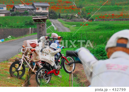 わらべ わらべ 432799