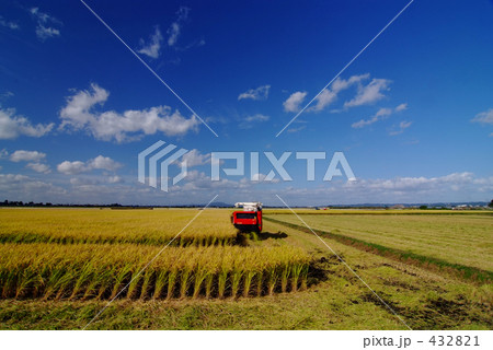 青空の下で 432821