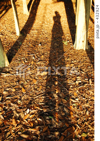 写真を撮る自分の影 写真を撮る自分の影 432924