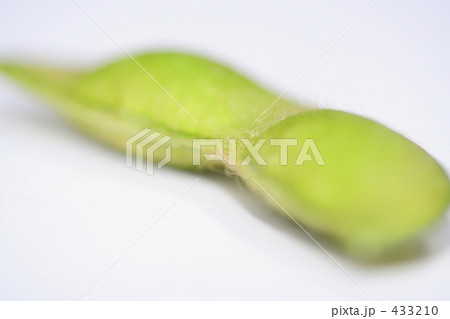 枝豆の毛 枝豆の毛 433210