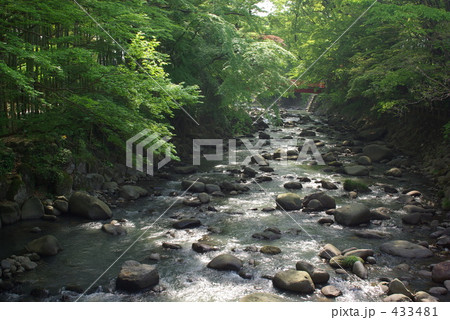 修善寺桂川 433481