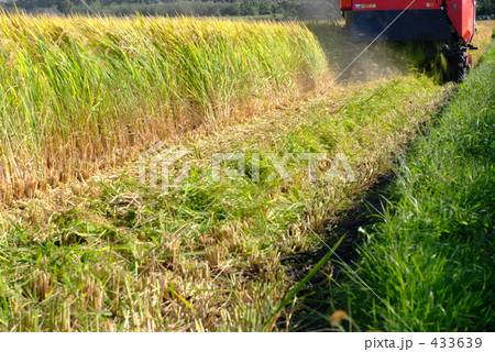 コンバインで稲刈り 433639
