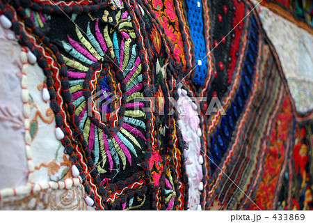 インドの馬の刺繍が見ている 433869