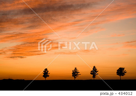 秋茜 秋茜 434012