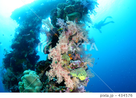 沈船とダイバー 沈船とダイバー 434576