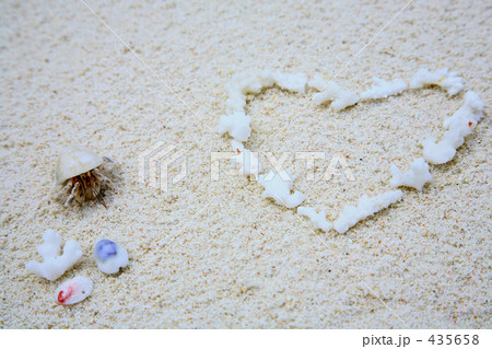 ハートのサンゴとヤドカリ 435658