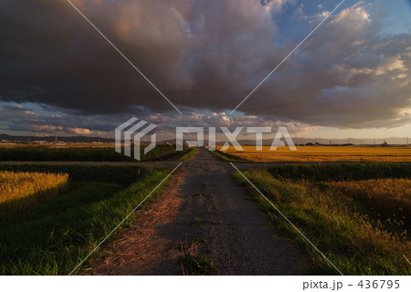 十字路 十字路 436795