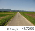 つづく道 437255