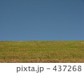 青空と芝生 437268
