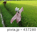 カカシ 437280