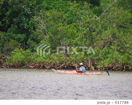 ジャングルクルーズ 437786