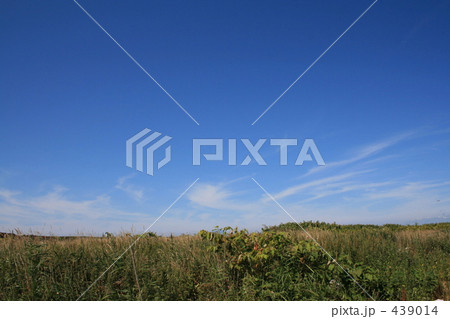 遠くの空 439014
