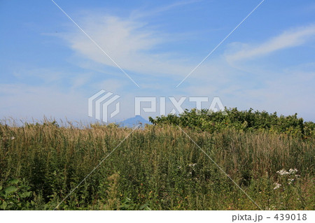 遠くの利尻富士 439018