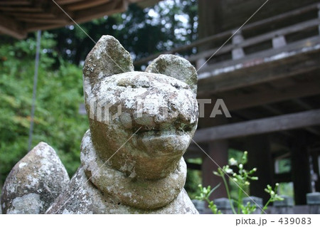 お稲荷さん 439083