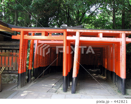 千本鳥居 千本鳥居 442821
