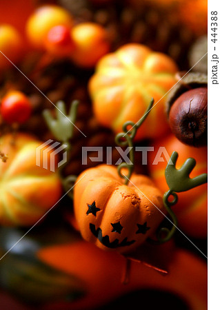 ハロウィン 444388