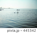 しじみ貝採り漁 445342