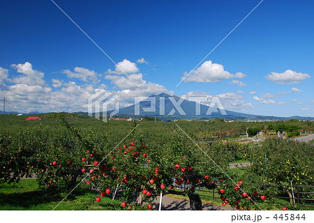 10月の岩木山 10月の岩木山 445844