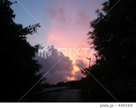 マジック・アワー 446569