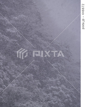 雪、ざんざんと降り続く 雪、ざんざんと降り続く 446672