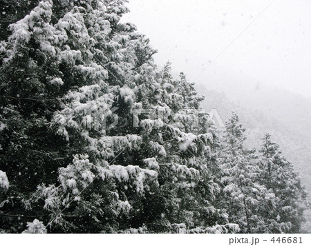 灰色の空から灰色の雪 山白く染めるの写真素材