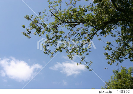 空 448592