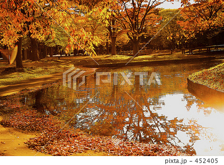 秋の公園 秋の公園 452405