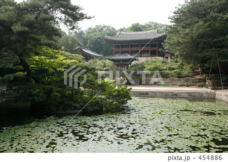 昌徳宮　秘苑 454886