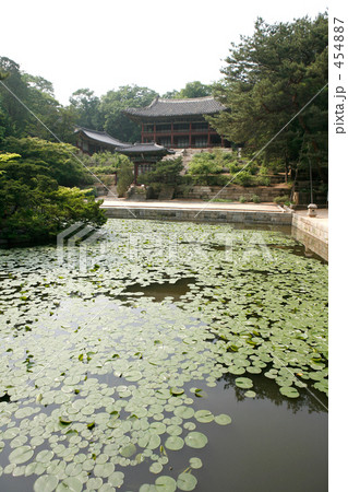 昌徳宮　秘苑 454887