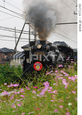 コスモスとSL コスモスとSL 455140