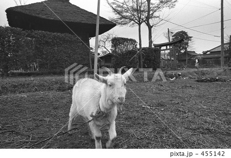 武蔵野線開業・沿線風景　昭和４８年 455142