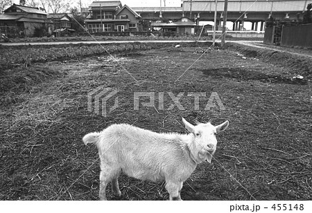 武蔵野線開業・沿線風景　昭和４８年　 455148
