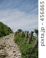 山道 456865