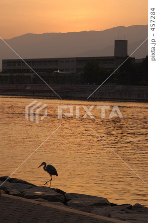 芦屋の運河の夕日 457284