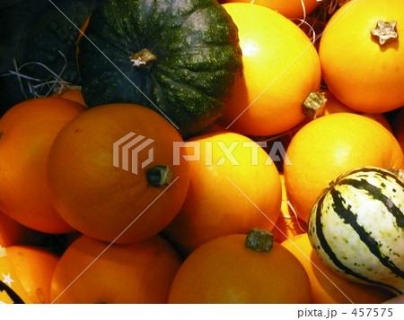 おもちゃカボチャ 457575