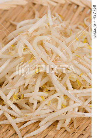 モヤシ モヤシ 457769