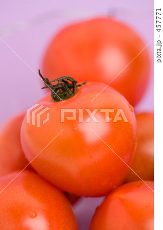 プチトマト 457771