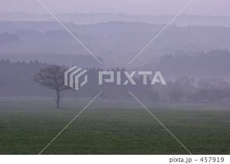 霧景 457919