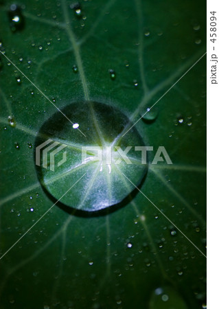 水たまり 水たまり 458094